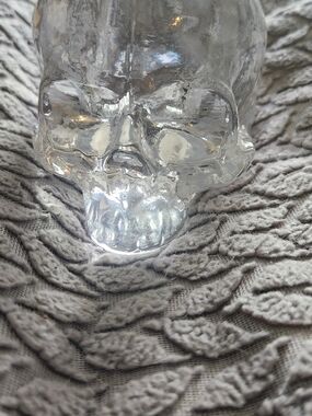Clear Glass Skull Decorative Vase